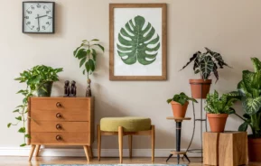 Foto de um hall de entrada com plantas decorativas.