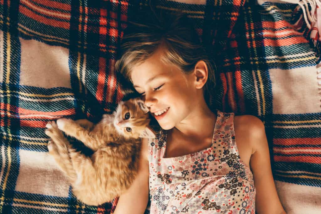 Animais domésticos - menina brinca com filhote de gato