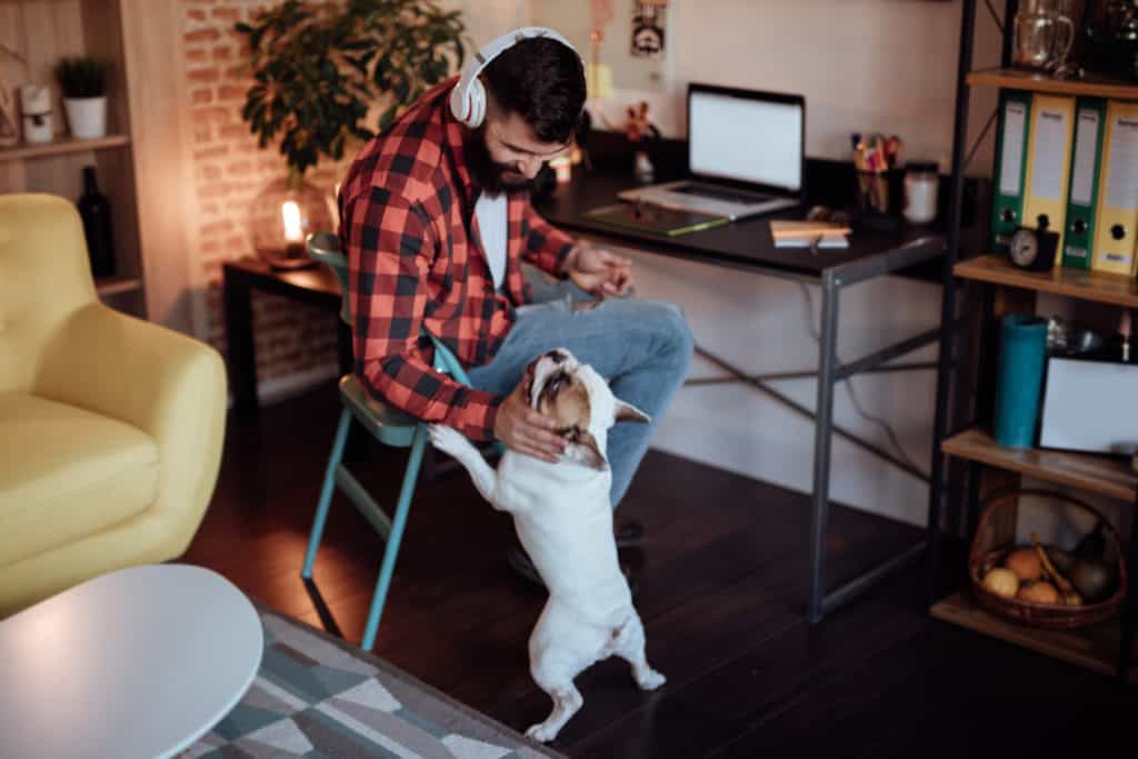 Dia Mundial Sem Carro home office