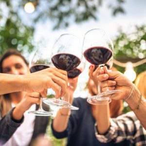 Um grupo de amigos ao ar livre brindando com ta&ccedil;as de vinho tinto, sorrindo e comemorando com vegeta&ccedil;&atilde;o desfocada ao fundo.