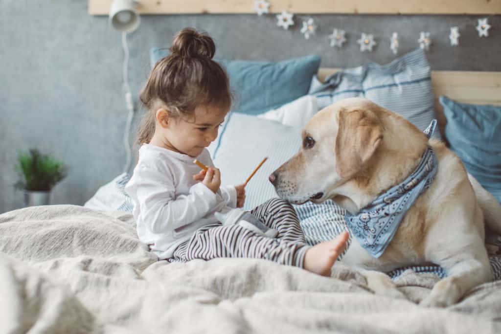 Menina e cachorro