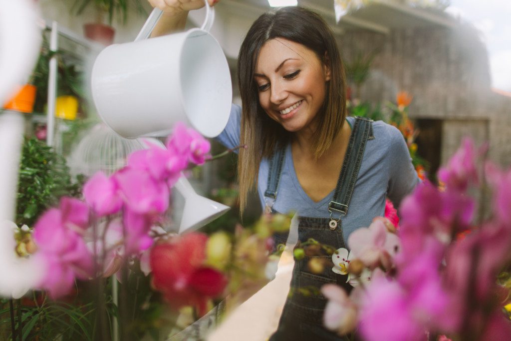 Como cuidar de orquídeas em apartamento