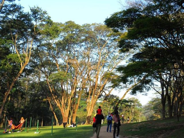 Foto que ilustra matéria sobre São Paulo para crianças mostra o Parque do Carmo