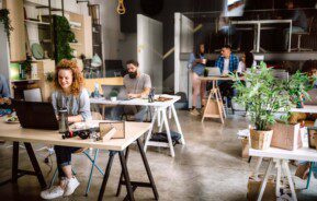 Um escritório moderno e aberto com várias pessoas trabalhando em mesas, algumas usando laptops. Há plantas, prateleiras e áreas de estar informais, criando um ambiente descontraído e colaborativo.