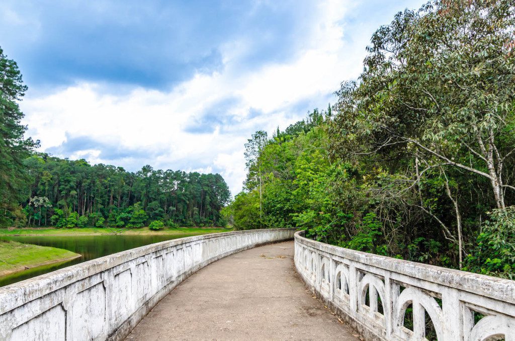 Foto que ilustra matéria sobre parques em Guarulhos mostra a Barragem do Parque Estadual da Cantareira