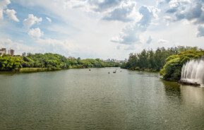 Foto que ilustra matéria sobre os parques em Campinas mostra um grande lago cercado de árvores no Parque Taquaral