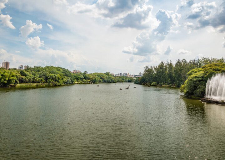 Foto que ilustra matéria sobre os parques em Campinas mostra um grande lago cercado de árvores no Parque Taquaral