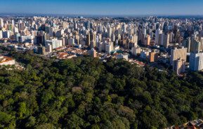 Foto que ilustra matéria sobre os melhores bairros de Campinas mostra uma área verde da cidade em primeiro plano, com altos prédios ao fundo.