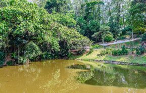 Foto que ilustra matéria sobre parque em Diadema mostra o Parque do Paço