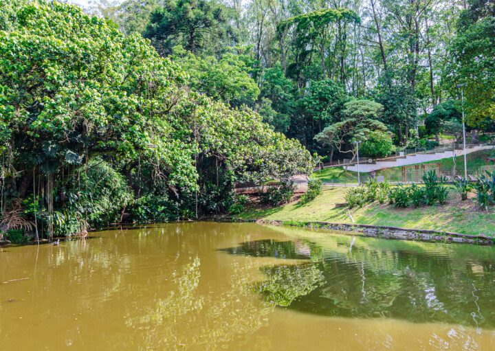 Foto que ilustra matéria sobre parque em Diadema mostra o Parque do Paço