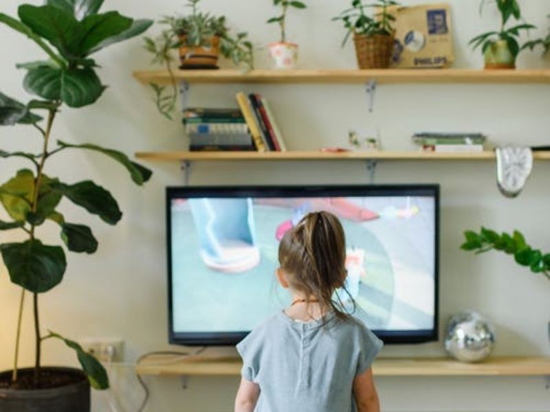 criança assistindo televisão enquanto várias prateleiras estão decoradas com plantas na parede