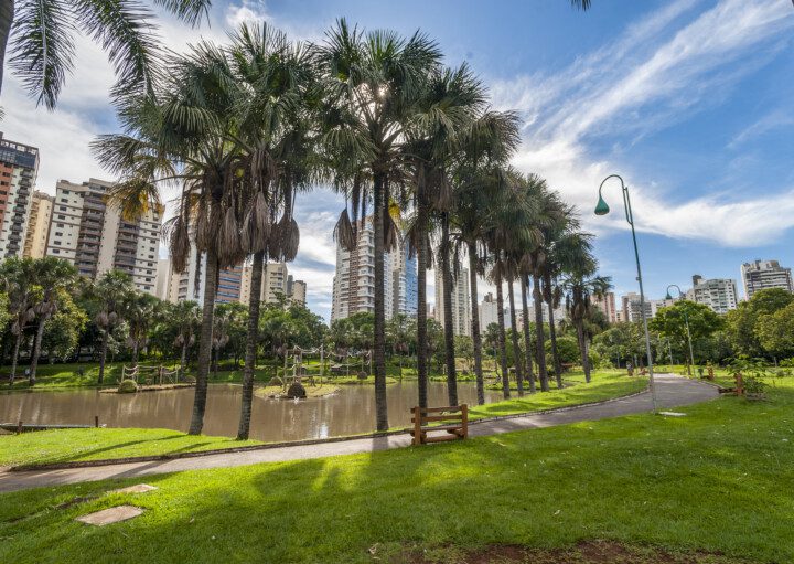 Foto que ilustra matéria sobre bairros de Goiânia mostra uma panorâmica de um dos pontos do Jardim Zoológico da cidade, com algumas palmeiras em torno de um pequeno lago e grandes prédios ao fundo.