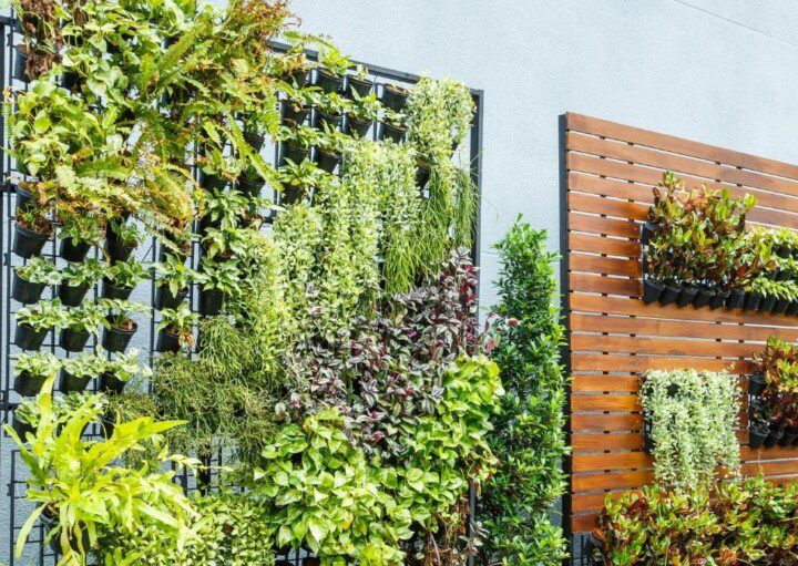 jardins verticais, um cheio de plantas e um com nichos com plantas menores