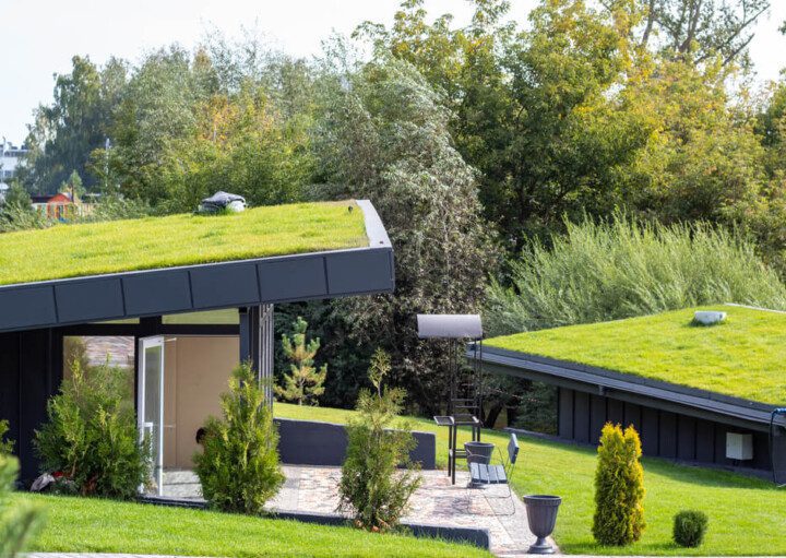 Foto que ilustra matéria sobre arquitetura biofílica mostra construções (casas), com telhados verdes, cobertos de grama e diversas árvores ao fundo.