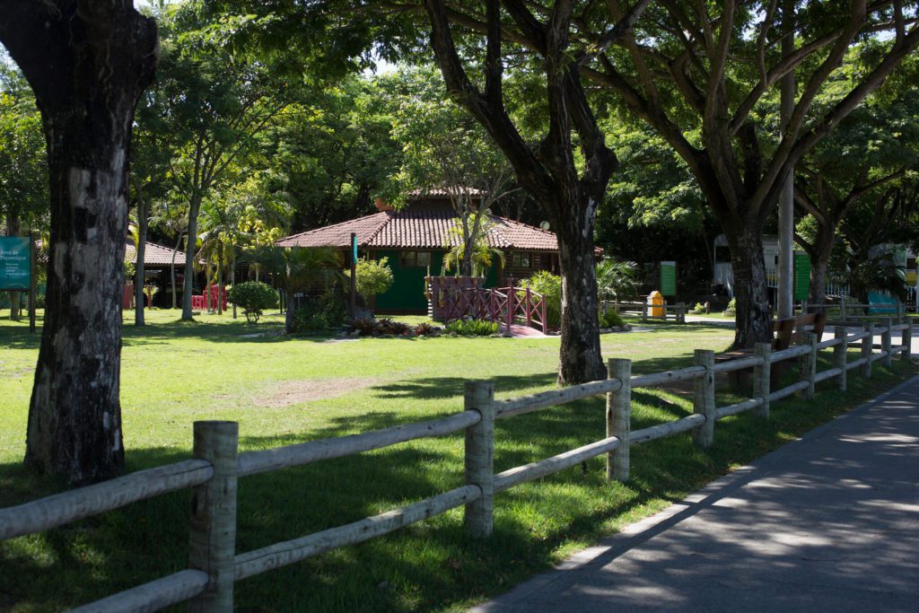 Imagem de parte do Parque Botânico Vale com vista para uma cerca de madeira e parte da estrutura do local