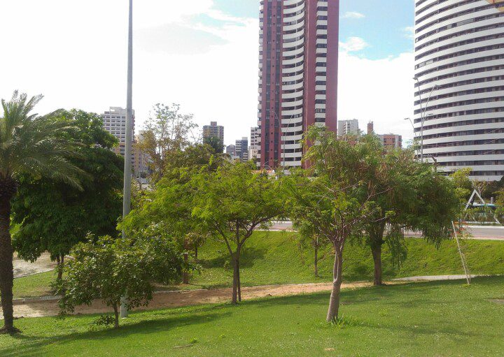 Foto que ilustra matérias sobre parques em Fortaleza mostra um gramado e árvores que fazem parte do Parque Estadual do Cocó, com prédios ao fundo.