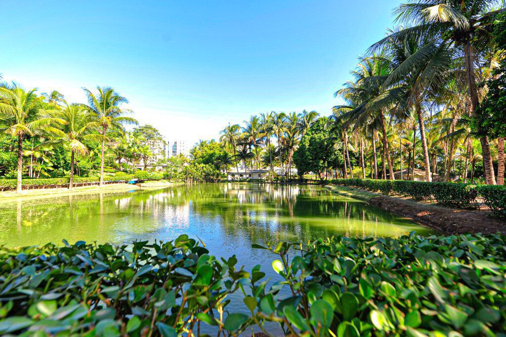 Imagem panorâmica com vista para o lago de um dos parques da capital de capixaba em um dia de céu azul