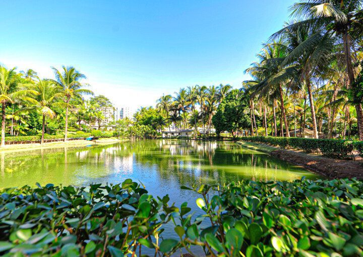 Imagem panorâmica com vista para o lago de um dos parques da capital de capixaba em um dia de céu azul