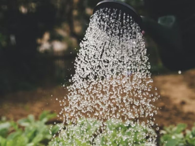 água caindo em jardim