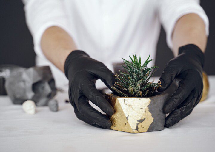 Imagem de uma pessoa segurando um vaso de cimento com uma planta suculenta.