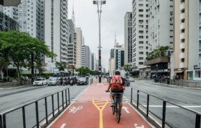 Foto que ilustra matéria sobre ciclovia em SP mostra a faixa vermelha destinada a ciclistas no canteiro central da Avenida Paulita. Aos lados estão as faixas de rolamento para carros e os prédios. E a imagem mostra um ciclista de costas, pedalando com uma mochila vermelha.