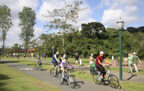 Foto que ilustra matéria sobre ciclovias em Curitiba mostra uma pista de asfalto repleta de ciclistas em meio a um parque arborizado.