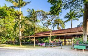 Foto que ilustra matéria sobre parque em Osasco mostra o parque chico mendes