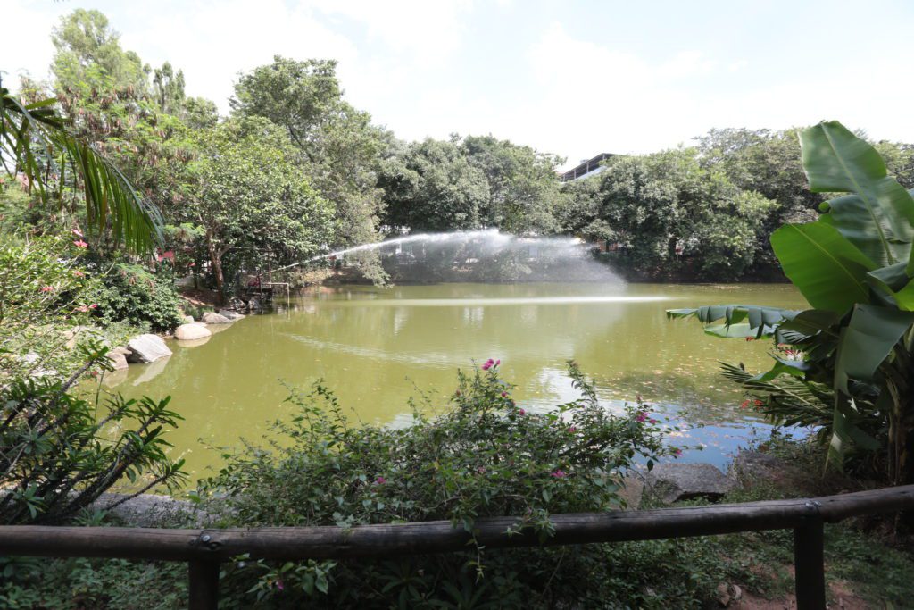 Foto que ilustra matéria sobre  parque em Osasco mostra um lago do Parque Ecológico Dionísio Alvarez Mateos