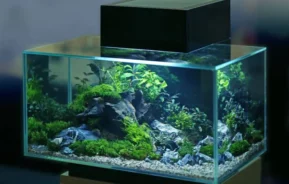 Um aquário retangular de vidro repleto de plantas aquáticas verdejantes, pedras e cascalho cria uma vibrante paisagem subaquática — inspiração perfeita para quem está aprendendo a montar um aquário. Ele fica sobre um suporte de madeira com uma luminária retangular preta no topo.