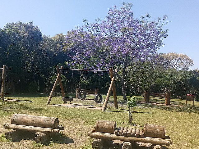 Imagem que ilustra matéria sobre o que fazer em Novo Hamburgo mostra a praça do Parcão em Novo Hamburgo, com balanço de pneus, árvores, e bancos de madeira.