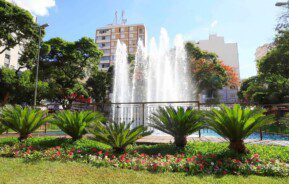 Foto que ilustra matéria sobre o que fazer em São José do Rio Preto mostra chafariz da Praça Rui Barbosa cercado por um gradeado, plantas, árvores e com prédios ao fundo em um dia de céu azul.