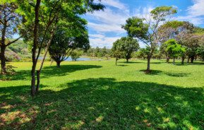 Foto que ilustra matéria sobre o Parque do Sabiá em Uberlândia mostra um trecho do espaço com um grande gramado e algumas árvores e uma parte de um lago aparecendo ao fundo, em um dia de céu azul com poucas nuvens brancas.