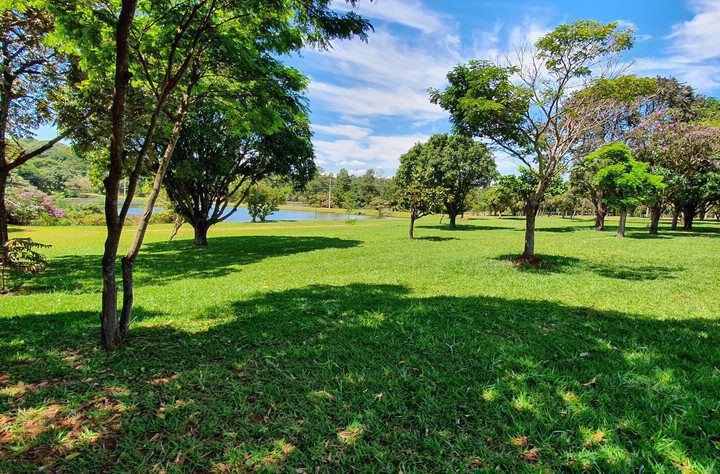 Foto que ilustra matéria sobre o Parque do Sabiá em Uberlândia mostra um trecho do espaço com um grande gramado e algumas árvores e uma parte de um lago aparecendo ao fundo, em um dia de céu azul com poucas nuvens brancas.