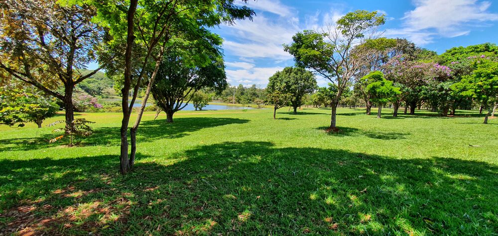 Foto que ilustra matéria sobre o Parque do Sabiá em Uberlândia mostra um trecho do espaço com um grande gramado e algumas árvores e uma parte de um lago aparecendo ao fundo, em um dia de céu azul com poucas nuvens brancas.