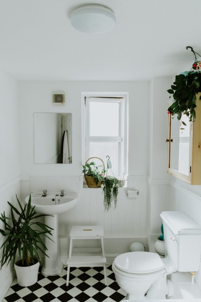 Lavabo decorado com plantas. Imagem disponível em Unsplash.