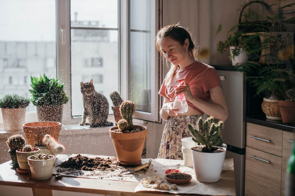 Foto que ilustra matéria sobre consumo consciente de água mostra uma mulher molhando seus cactos com um borrifador enquanto é observada por um gato