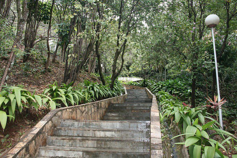 Foto que ilustra matéria sobre os bairros mais seguros de Belo Horizonte mostra um caminho em descida de tijolinhos cinzas pelo meio de árvores no Parque Municipal Julien Rien