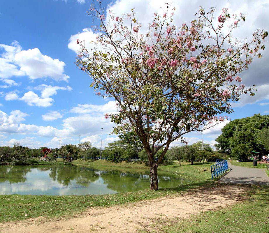 O Parque das Águas fica aberto 24h por dia e oferece diversas opções de lazer 