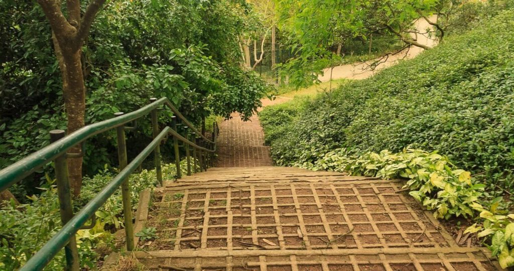 Foto que ilustra matéria sobre o Terminal Grajaú mostra uma escada cercada de verde localizada no Parque Guanhembu.