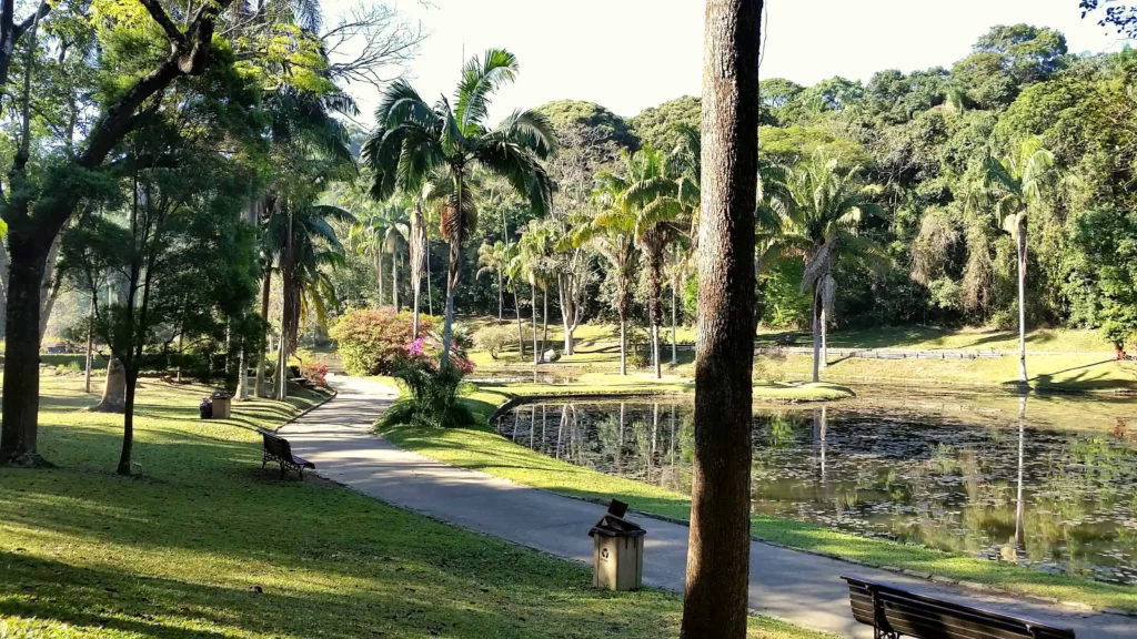 Imagem do Jardim Botânico de São Paulo iluminado pelo sol com um caminho pavimentado, bancos, palmeiras e um lago que reflete o verde cercado por uma vegetação exuberante e arbustos floridos