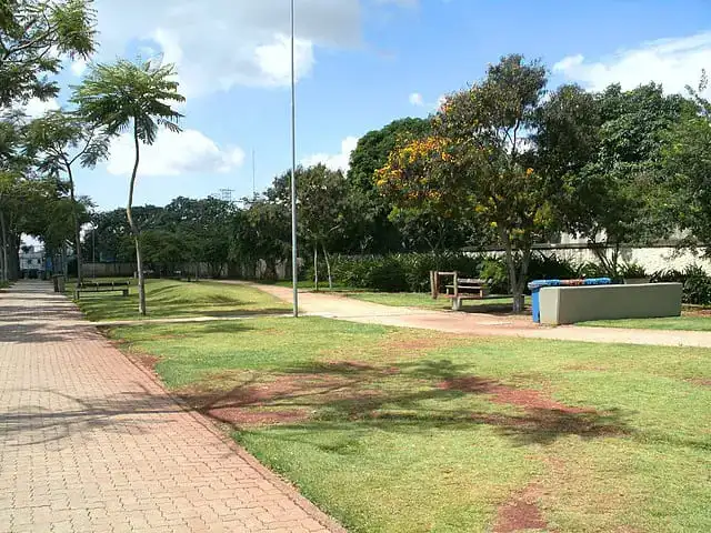 Imagem do Parque da Juventude mostra pista de caminhada, gramado, árvores e bancos em um dia de céu azul para ilustrar matéria sobre os maiores parques de SP