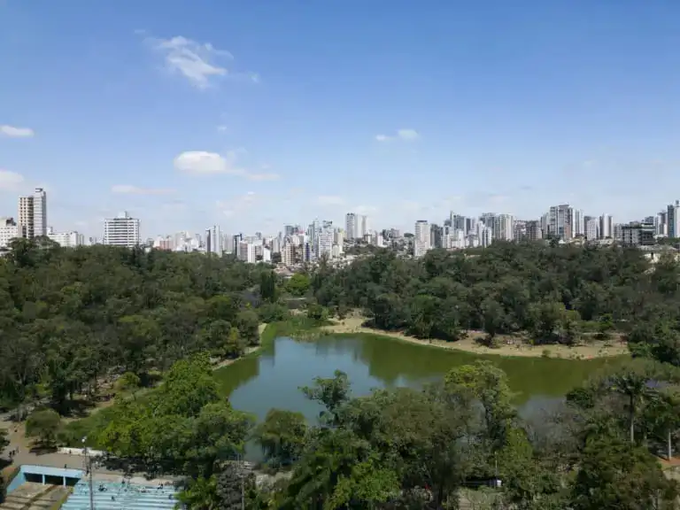 Imagem da vista aérea do Parque da Aclimação, em São Paulo, mostra árvores, lago e prédios ao fundo para ilustrar matéria sobre os melhores parques em SP