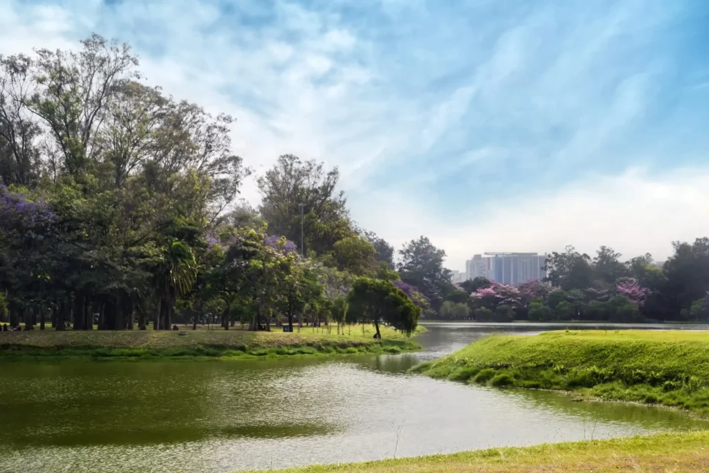 Imagem da vista do lago do Parque Ibirapuera para ilustrar matéria sobre parque em SP