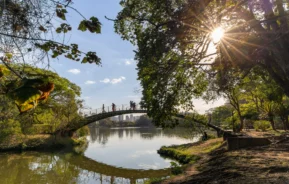 Imagem de pessoas passando por uma ponte no Parque Ibirapuera para ilustrar matéria sobre parques em SP