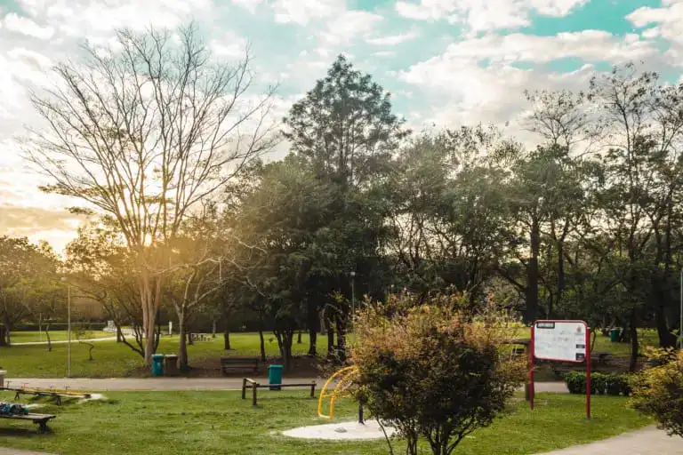 Imagem do Parque Villa-Lobos, em São Paulo