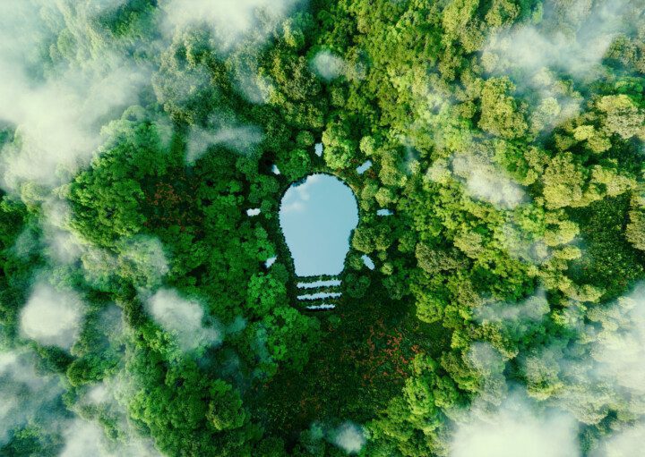 Um lago em forma de lâmpada no meio de uma floresta exuberante, simbolizando novas ideias, inventividade e criatividade em relação à solução de problemas ambientais.