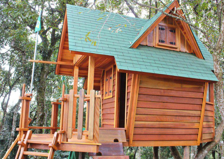 Foto que ilustra matéria sobre casa na árvore simples mostra uma pequena casa de madeira com telhado verde apoiada no tronco de uma árvore.