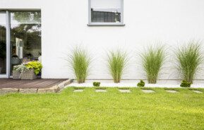 Imagem de um quintal de casa com jardim de plantas e grama.