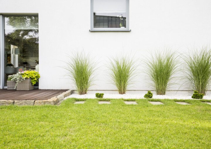 Imagem de um quintal de casa com jardim de plantas e grama.