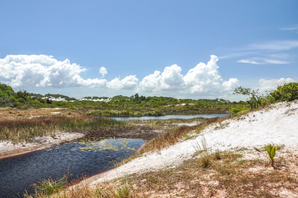 Parque das Dunas.